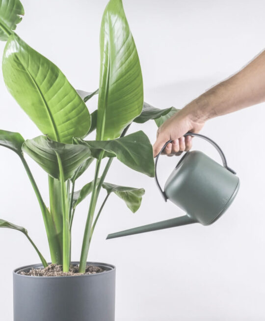 plant_product_accessories_3