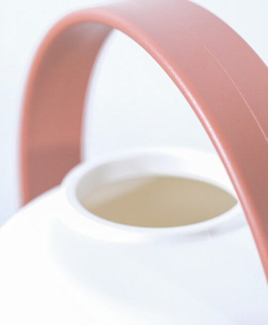 plant_product_accessories_3.4