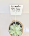 plant_product_gifts_1.1