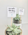 plant_product_gifts_1.2
