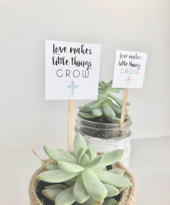 plant_product_gifts_1.2