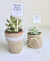 plant_product_gifts_3