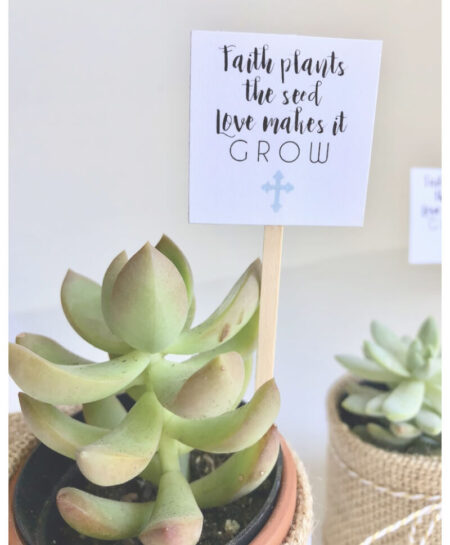 plant_product_gifts_3.2