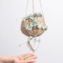 plant_product_indoor_1