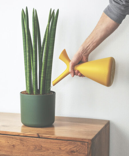plant_product_outdoor_2