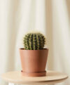 plant_product_outdoor_9.1