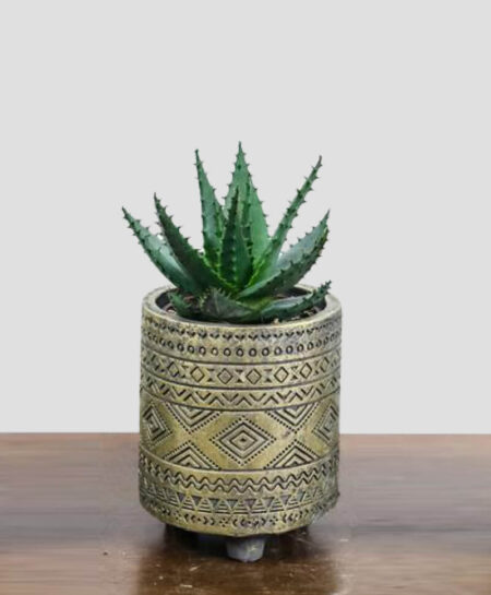 product_plants_2