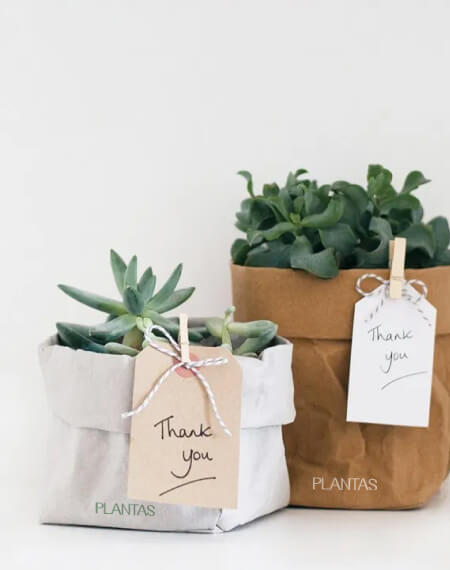 image_box_3